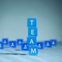 our team